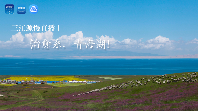 三江源慢直播丨治愈系，青海湖！